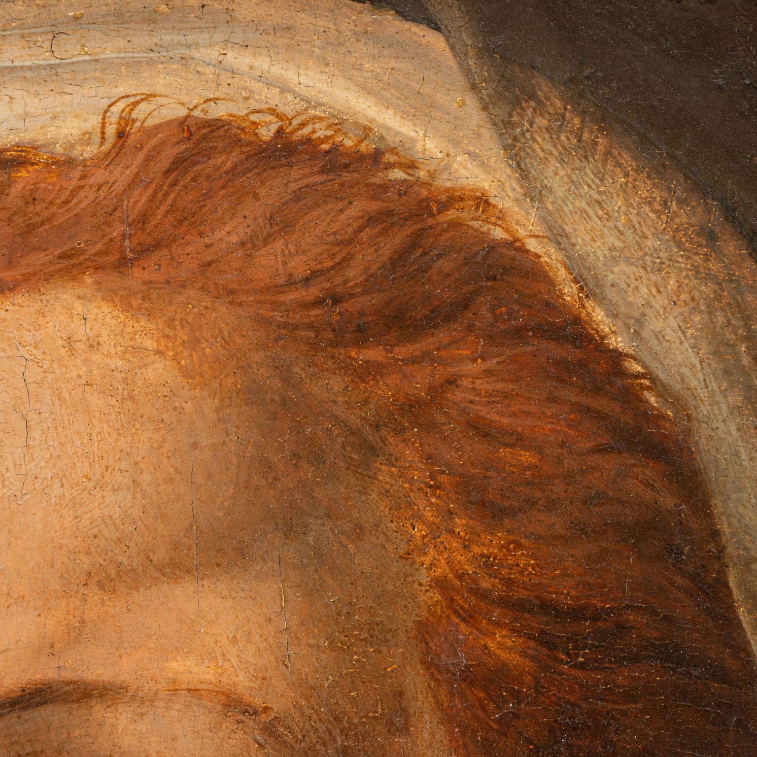 Female Head, Andrea del Sarto