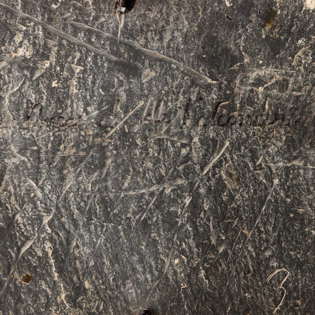 OGANOG0250862_19